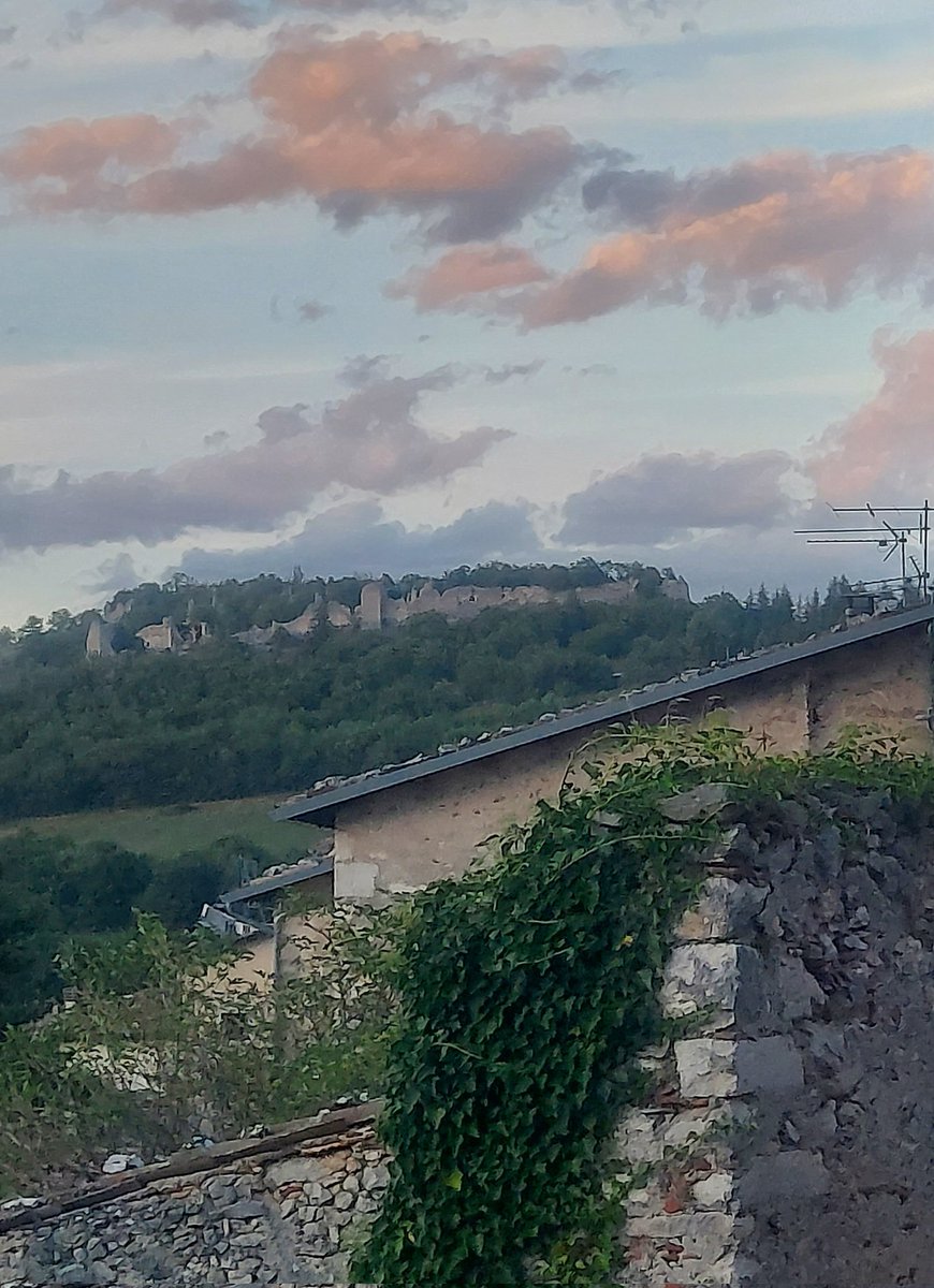 Maria Lea tweet media