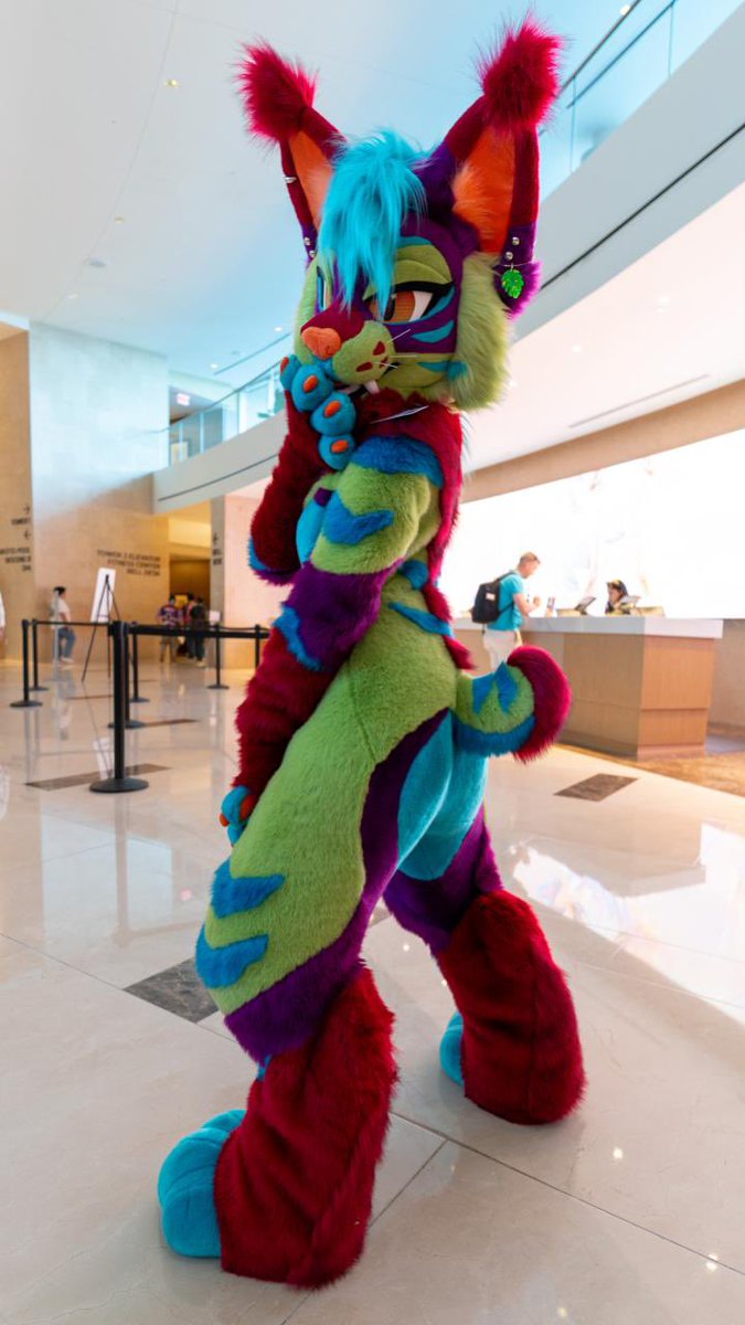 Megaplex successful ✅