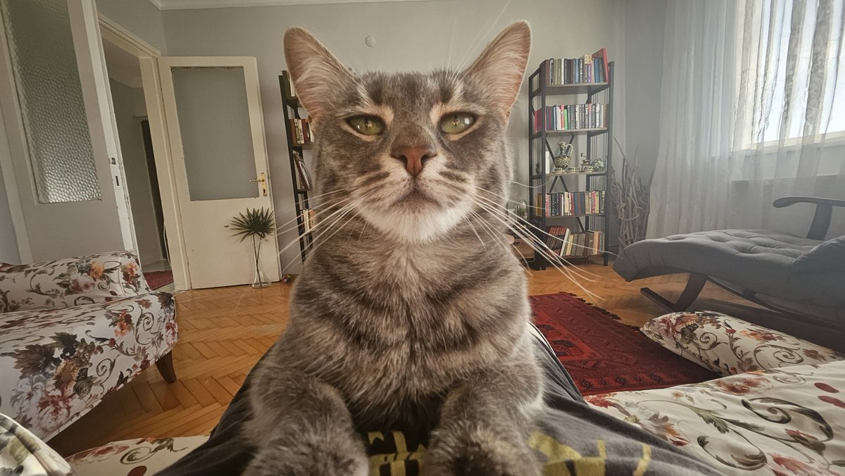 Oraya atamadım buraya atıyom