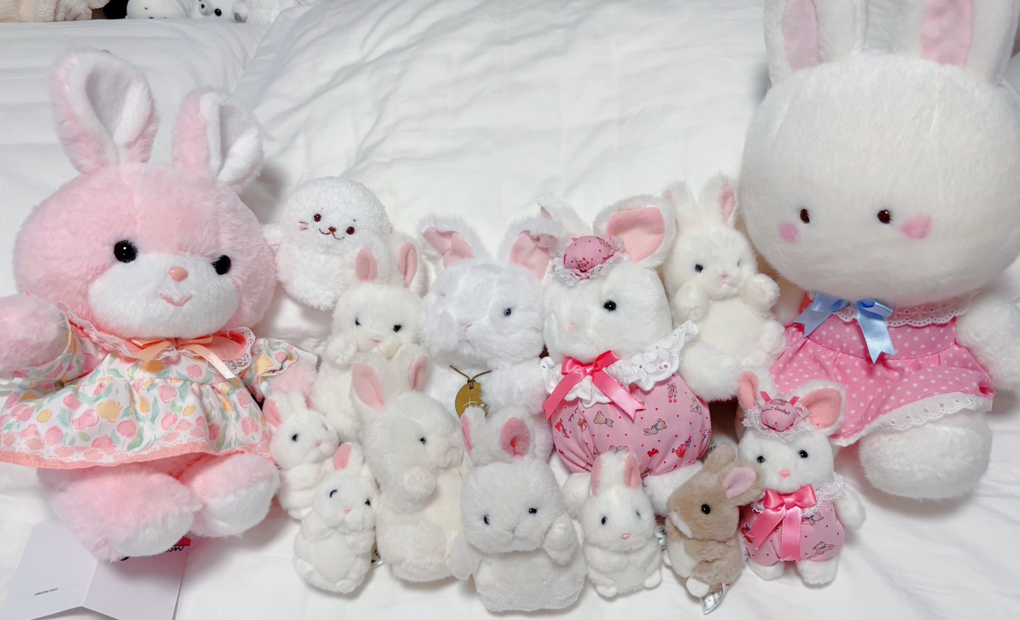 しょりんうさぎちゃんとくまさんのデート、コスモス、秋アレンジ❣️ピンク❁⃘* しょりんうさぎちゃんとくまさんのデート、コスモス、秋アレンジ