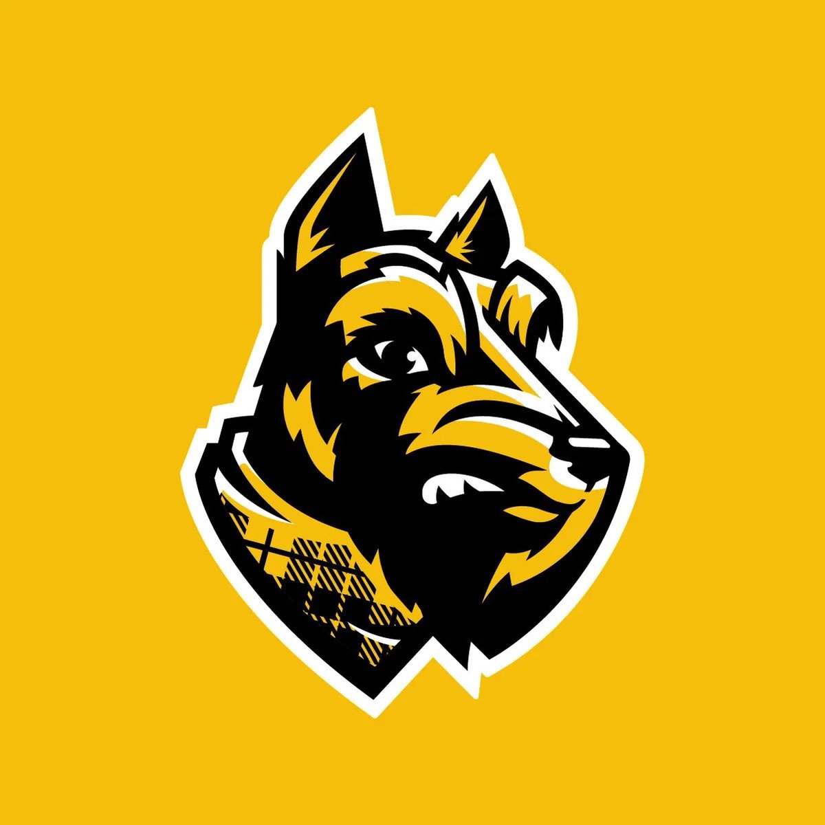 Excited and blessed to announce that I’ll be on a gameday visit to the University of Wooster on November 1st! Truly thankful to <a href="/CoachHolter/">Austin Holter</a> for the opportunity and can’t wait to experience the atmosphere and learn more about the program. #AGTG