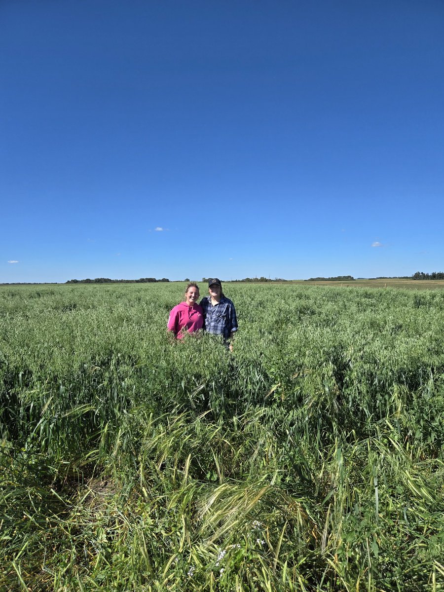 DrBart_Beef's tweet image. Great day discussing #CoverCropsLessonsLearned @SAWatersheds @agbiousask @ShelbyRobinson_ #LardnerLab #AppliedBeefForageResearch @GraemeFinn1