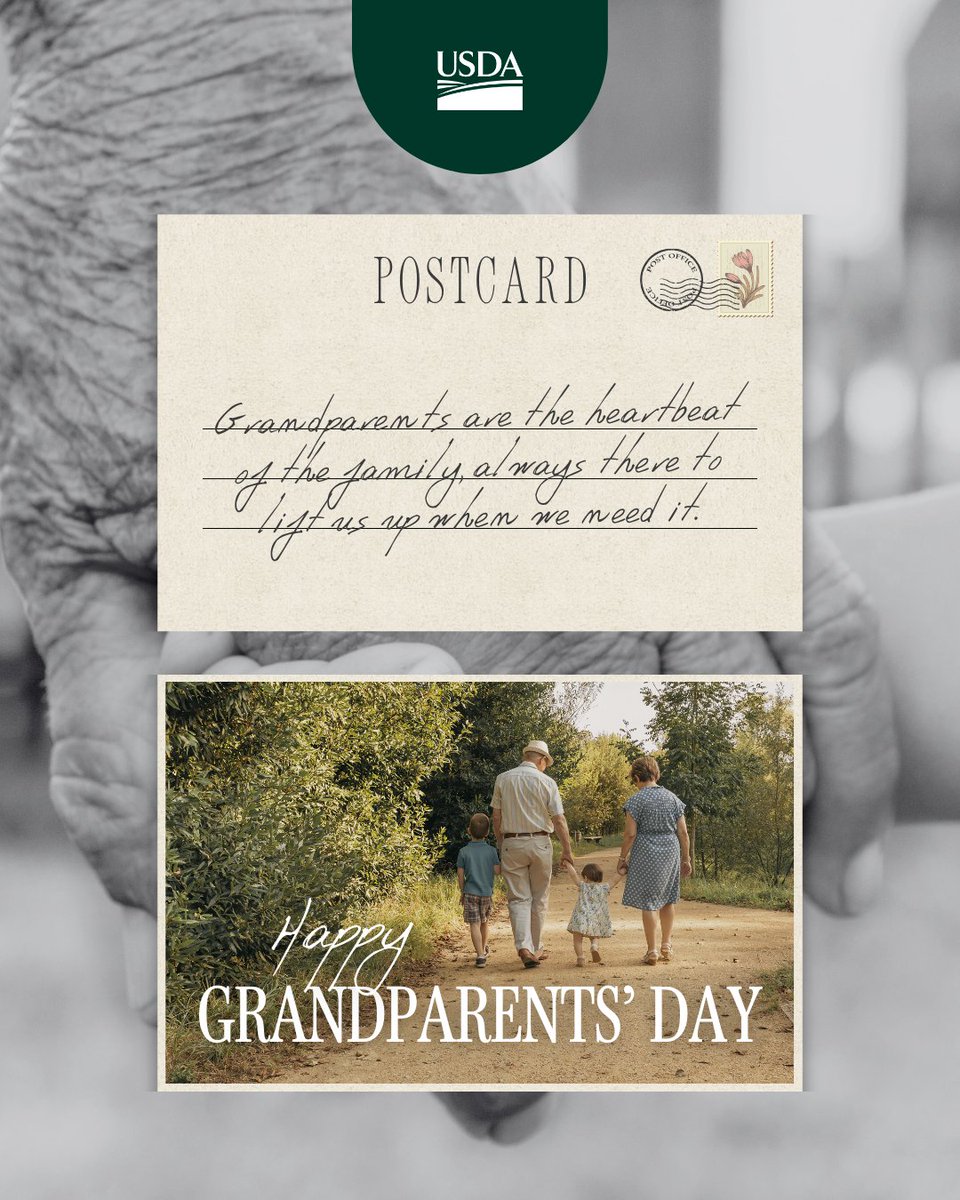 Today and every day, we honor our grandparents for their endless love, wisdom, and support. Thank you for being the best mentors and storytellers ❤️

#GrandparentsDay