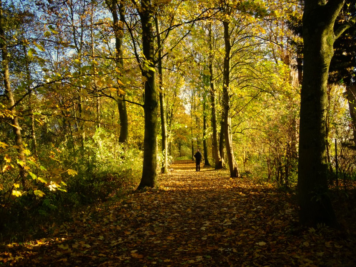 De herfst komt eraan. Heerlijk! 

Is het ook uw favoriete jaargetijde?