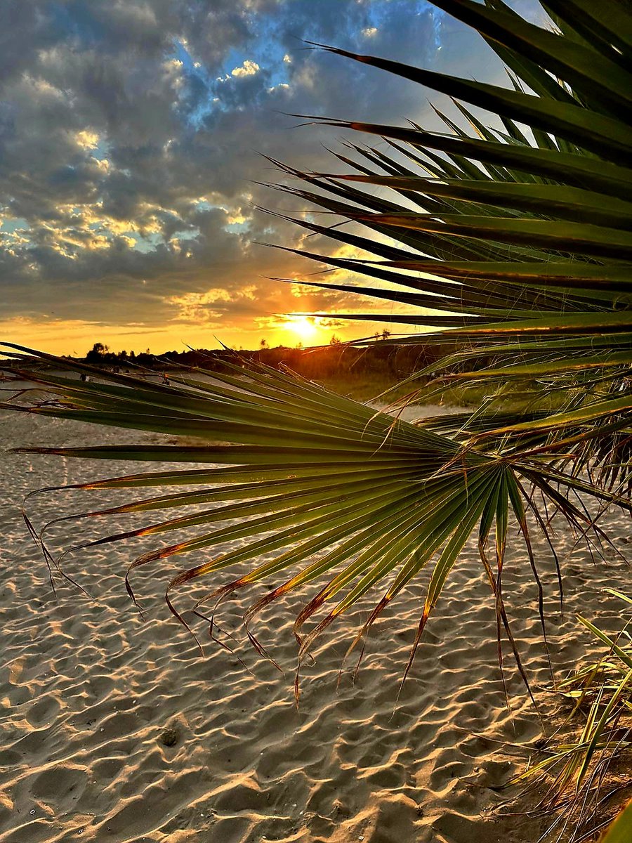 Nachtigall♡ (@risingsimorgh) on Twitter photo 