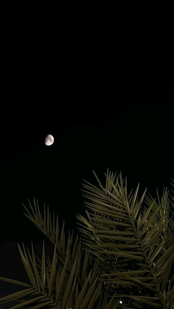 ادھورے چاند سے فریاد تو کرتا ہوگا
وہ مجھے زیادہ نہیں پر یاد تو کرتا ہوگا

بہت مصروف سہی وہ دن بھر پھر بھی
تنہائی کے کچھ پل میرے لیے برباد تو کرتا ہوگا

شب بخیر