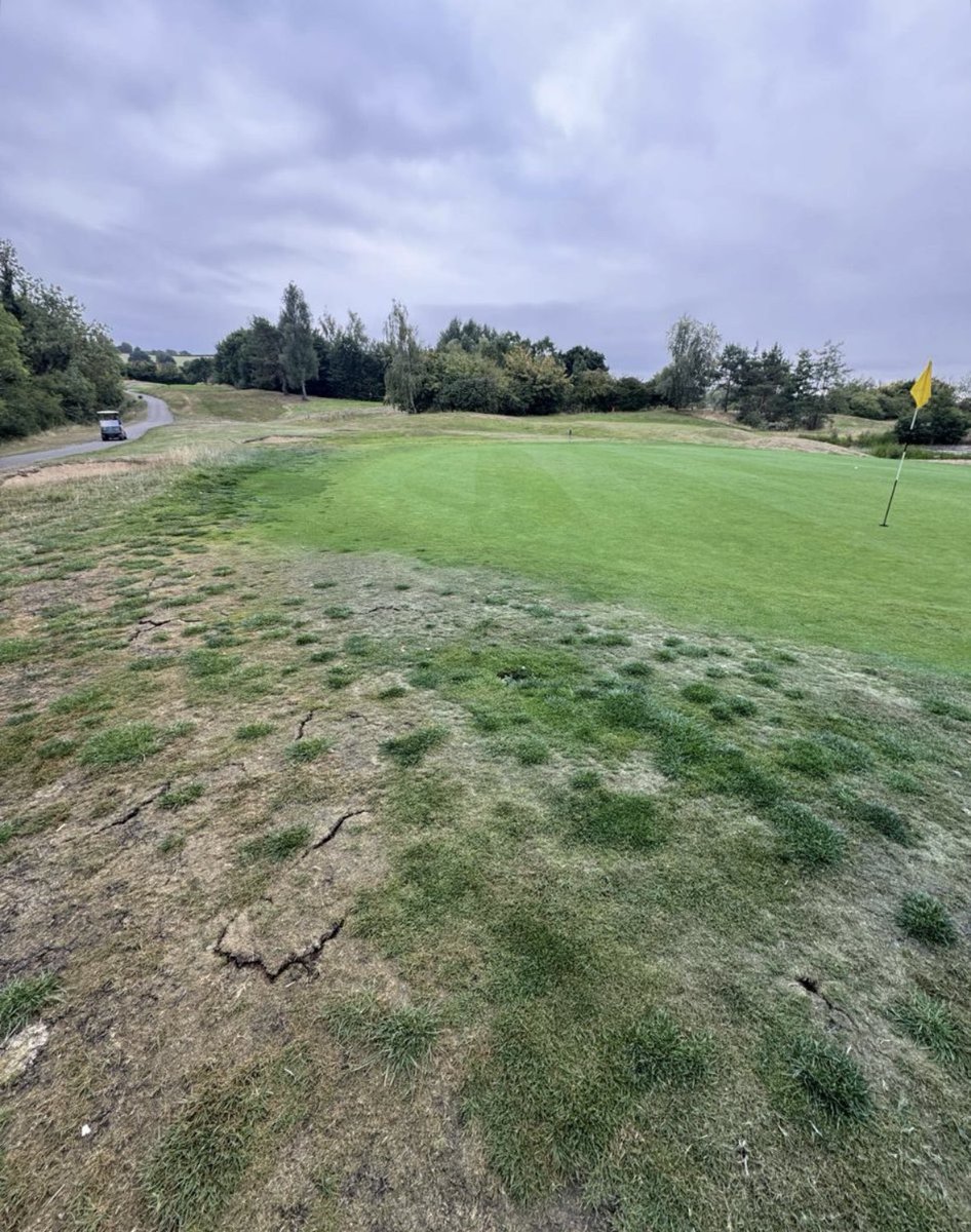 Maxwell Martin tweet media