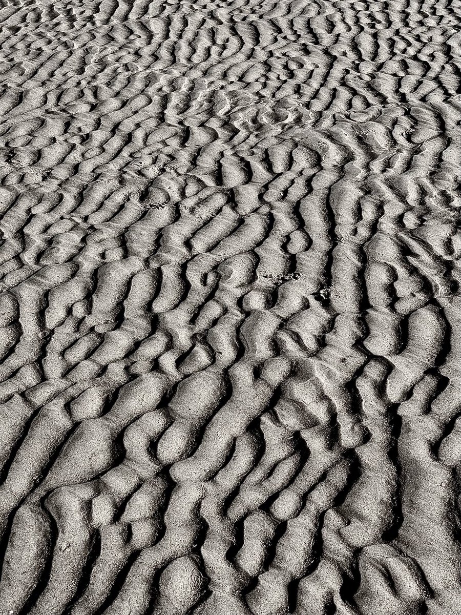 Sparty Lea (@eperiley) on Twitter photo Druridge Bay, Northumberland Druridge Bay, Northumberland