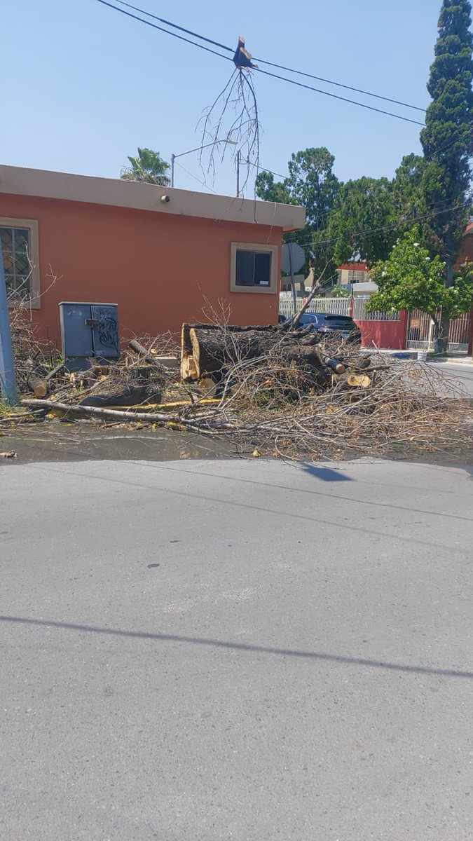 Leyroma's tweet photo. Cortaron un árbol en la colonia Mitras centro, Rio verde, Mpio Monterrey y no recogieron los deshechos que el municipio dejo y hoy con una fuga de drenaje se ha vuelto un foco de infección ayuda @mtygob @nmasmonterrey @telediariomty @Cicmty https://t.co/YO2HRcBJi0