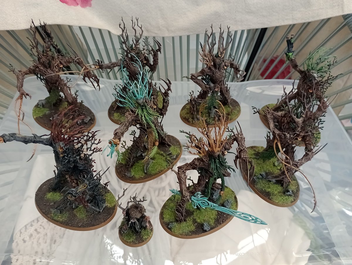 This weekend I will be attempting to run Sylvaneth as if it's a Destruction army. 
If I encounter a problem that can't be solved with brutal arboreal violence, I will simply lose
#warhammer #witneywarhammer