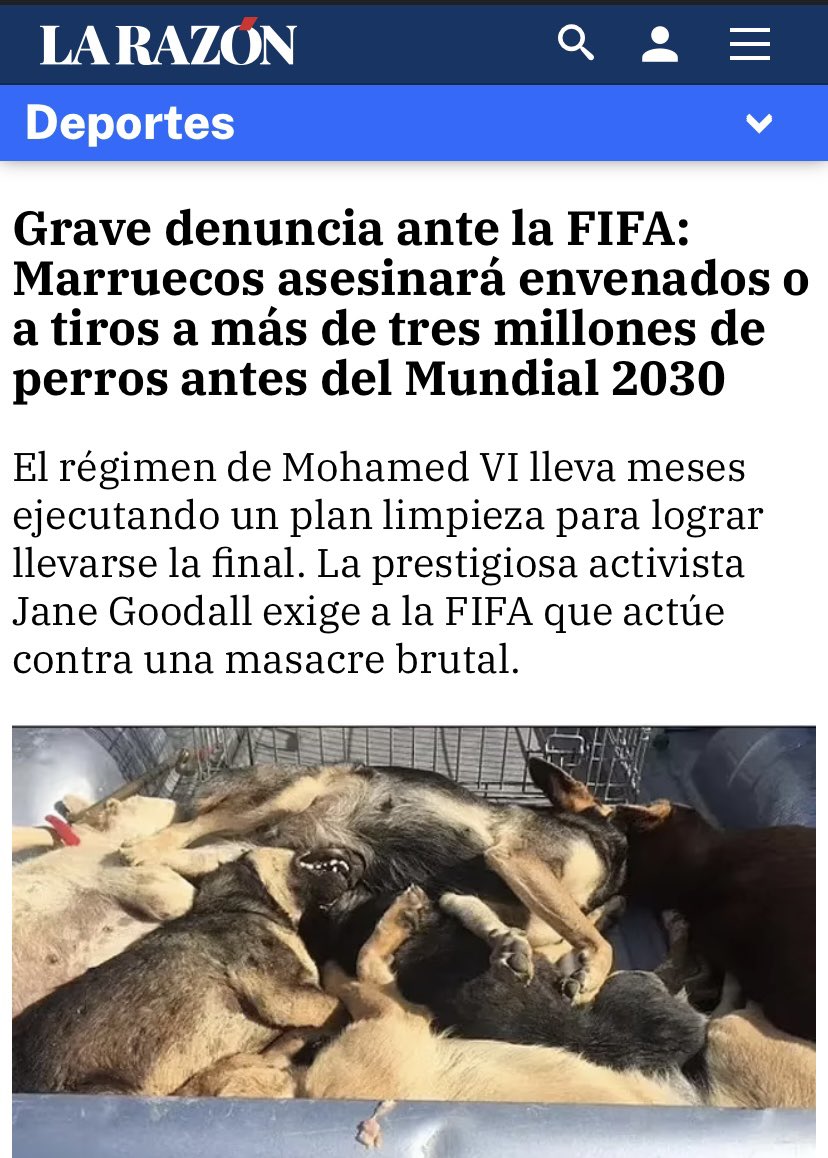 ¿Alguien puede avisar a  la peña del excalibur que Marruecos va a liquidar a 3 millones de perros?
Por si quieren ir a Rabat mismamente a manifestarse.