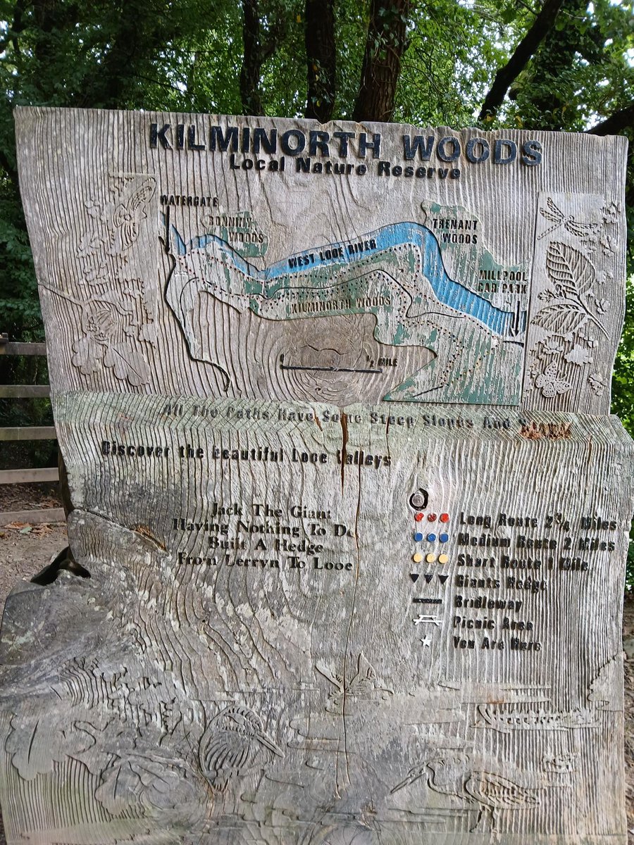 FlissZak's tweet image. A map of the walks in this little piece of heaven known as #Cornish #woodlands.

#WritingCommunity #poetrycommunity #readingcommunity #bookworms #nature #NaturePhotography #trees #river