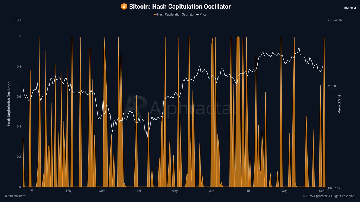 🚨 Bitcoin Mining Profitability Under Pressure in 2025 – A Sign of  Capitulation? The mining sector looks a bit unstable in 2025, partly  because BTC prices remain very high compared to what