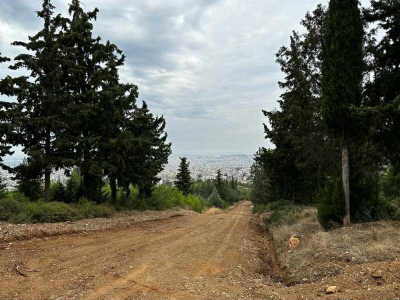 🌍Το πρόγραμμα Antinero προστατεύει τα δάση μας και τα θωρακίζει απέναντι στην κλιματική αλλαγή με τη στήριξη του #NextGenerationEU [2/4]