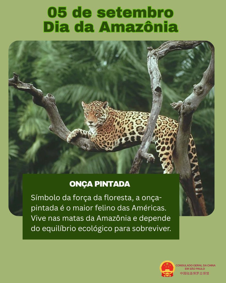 Bioparque Municipal de Macapa (2026) - All You Need to Know BEFORE You Go  (with Reviews), image size:960x1200