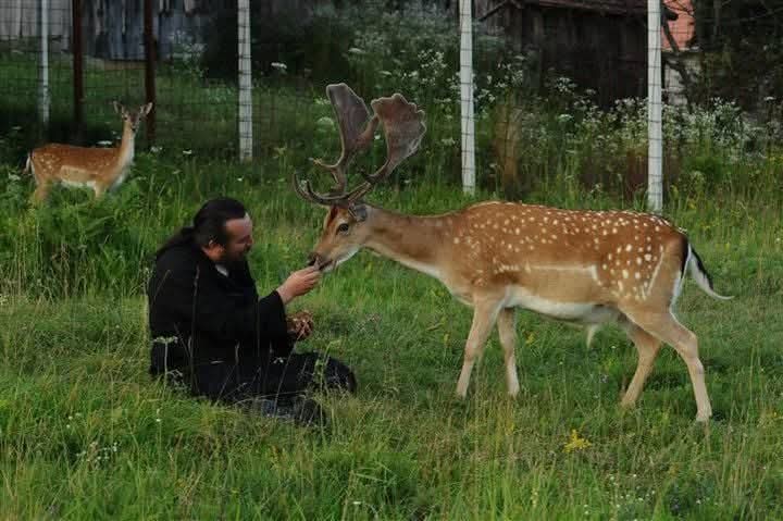 Comme le cerf désire les fontaines des eaux, ainsi mon âme te désire, ô mon Dieu !

- Psaume 41,2
