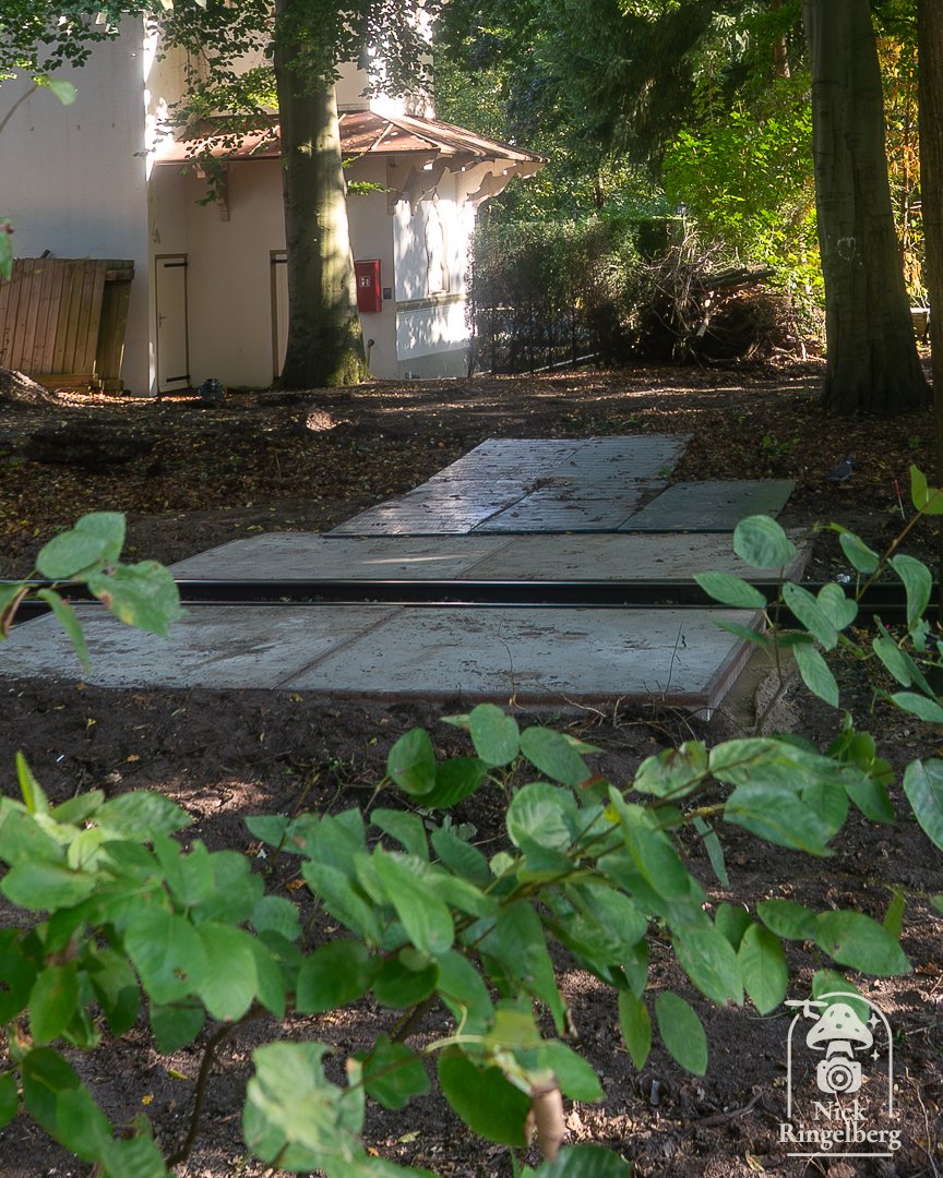 RingelbergNick's tweet image. Een spoorweg overgang?!? Voor eventueel bouwverkeer of voor de bezoekers? Dus een 4de uit/ingang vlak bij droomvlucht?

#efteling #sprookjesbos #spoor