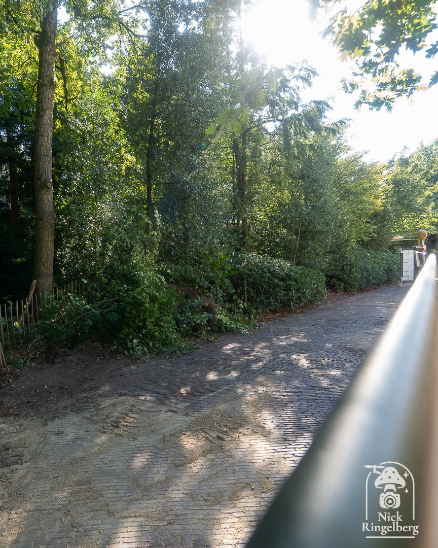 RingelbergNick's tweet image. Een spoorweg overgang?!? Voor eventueel bouwverkeer of voor de bezoekers? Dus een 4de uit/ingang vlak bij droomvlucht?

#efteling #sprookjesbos #spoor