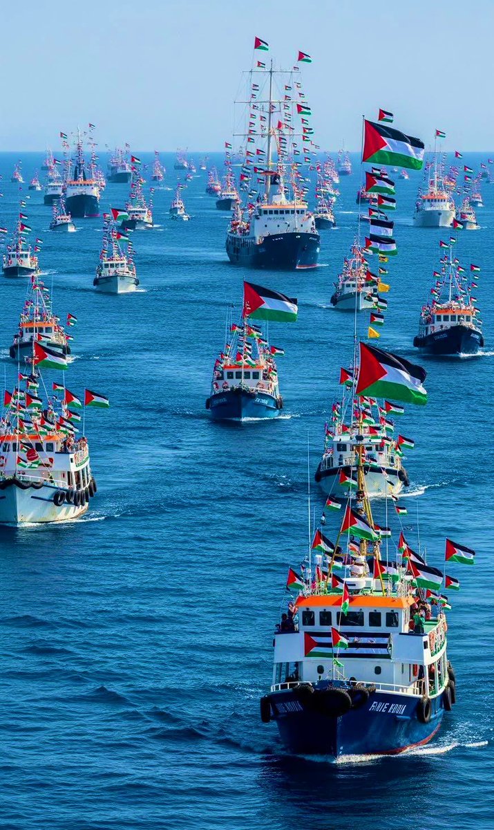 Sumud Türkiye tweet media