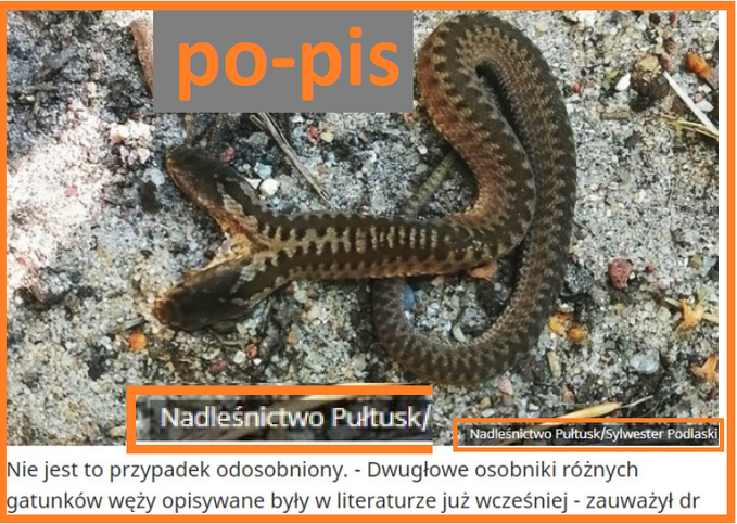 Anka1925's tweet photo. 1. Jest tak,
2. a powinno być tak. Zaś ten bajzel z tyłu to nieszczęsna Polska... https://t.co/982Jf1AuWj