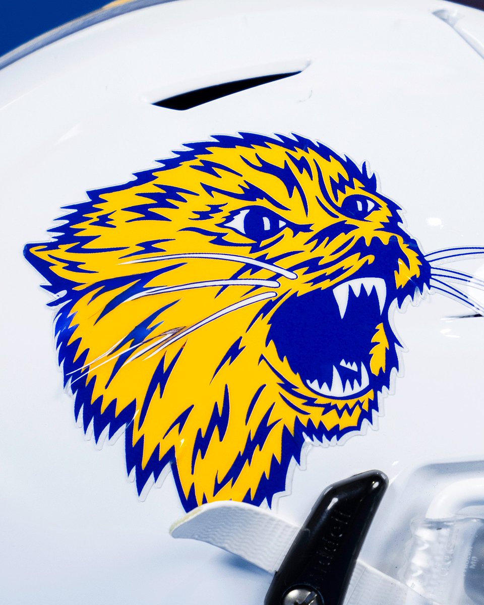 Montana State Football tweet media