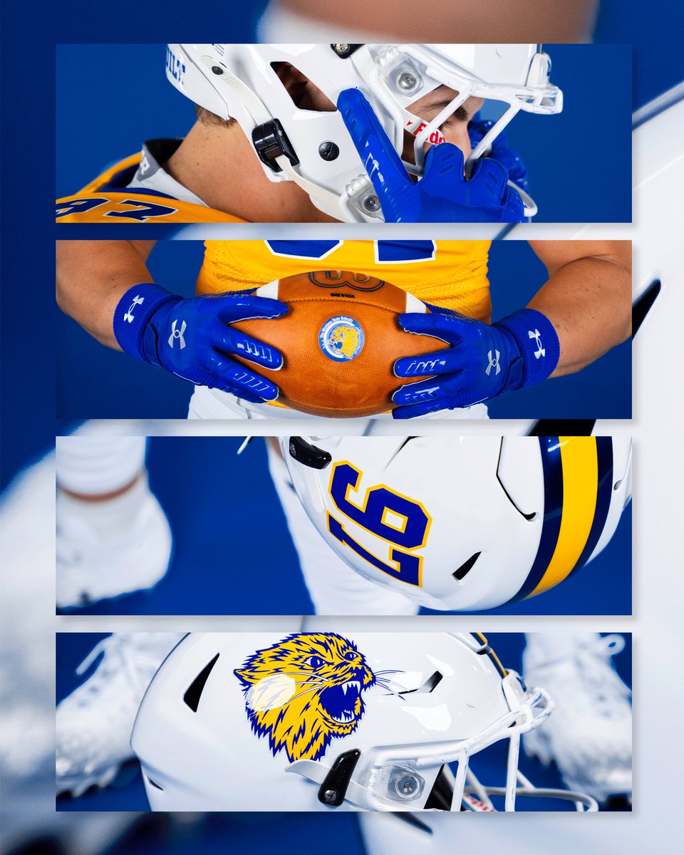 Montana State Football tweet media