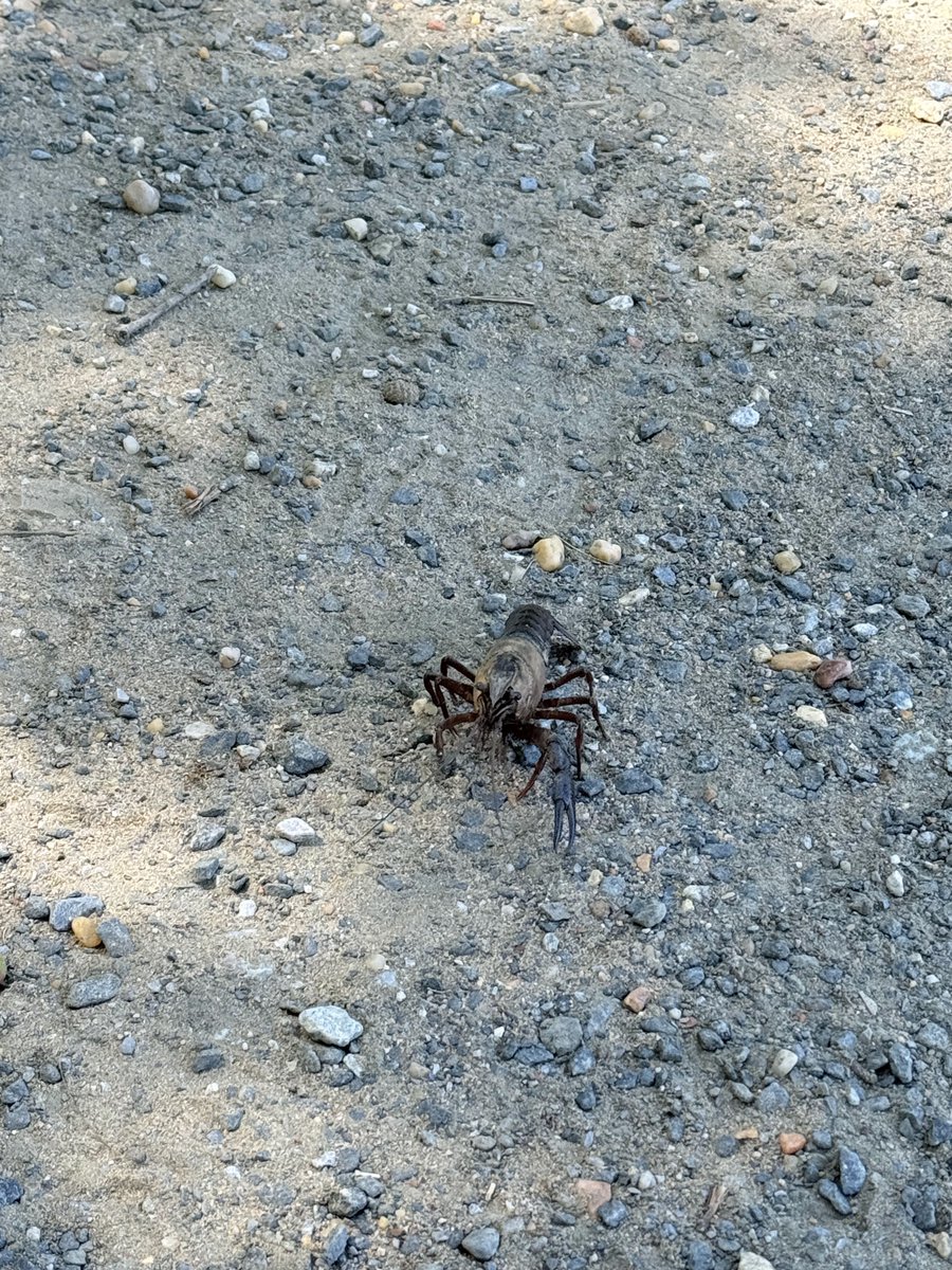 City of Greenbelt tweet media