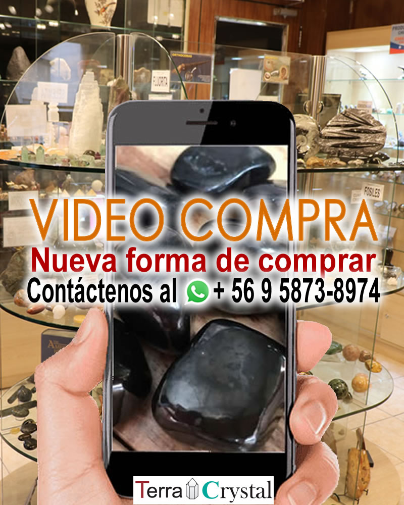 TerraCrystal tweet media