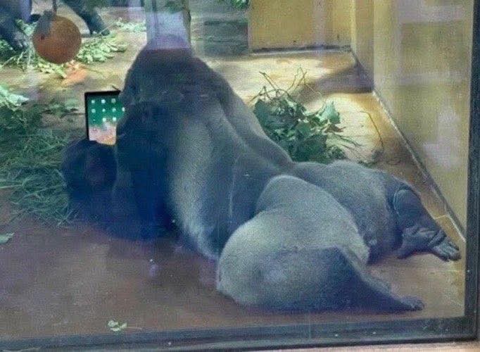 ساعه دور علي الموبايل 

ابن اختي في الصاله