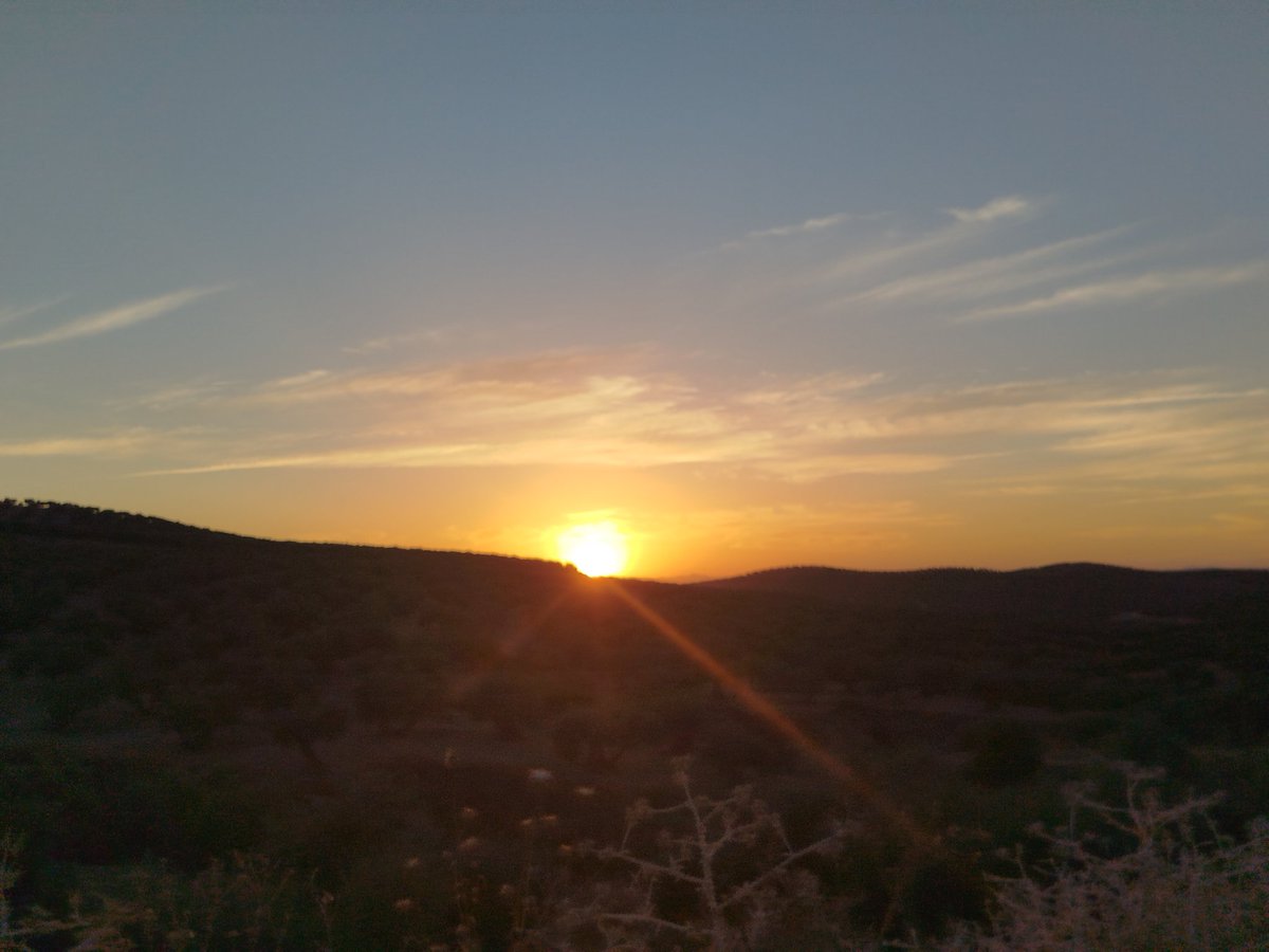 Salir a correr tan solo por pillar el atardecer entre olivos, entre esos olivos que nos quieren arrancar. 
Y que gente como los de <a href="/AlienteOrg/">ALIENTE</a> tanto están peleando por proteger en toda España.