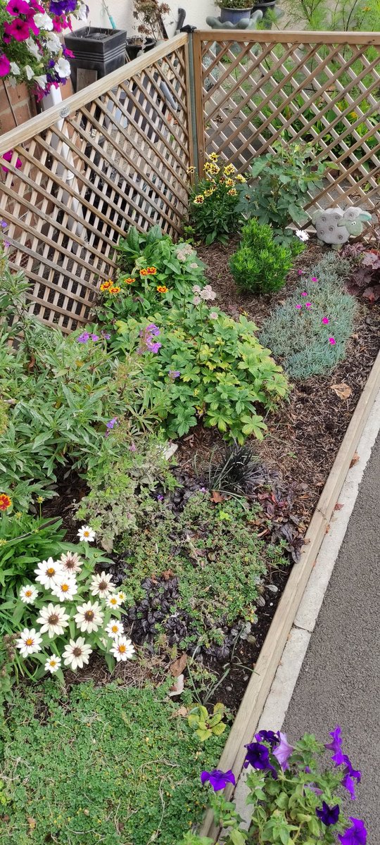 The garden and basket are still looking good.