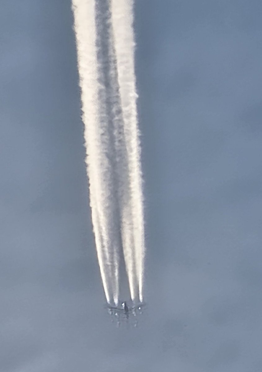 kusma mı var, salgın var diyecekler. İshal mi var, salgın var diyecekler. Ateş mi var, salgın var diyecekler. Ancak gerçeği söylemeyecekler. Aylardır püskürtme yoktu ama artık başladı.