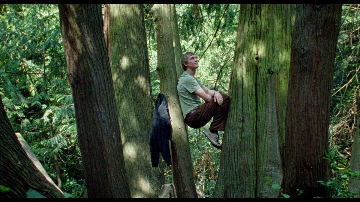 Marc van de Klashorst hugs a tree in Ildikó Enyedi's sensory sensation SILENT FRIEND, a film that is just as political and as vital as the films that try to show us the horrific reality of human connection failing #Venezia82 icsfilm.org/festivals/veni…