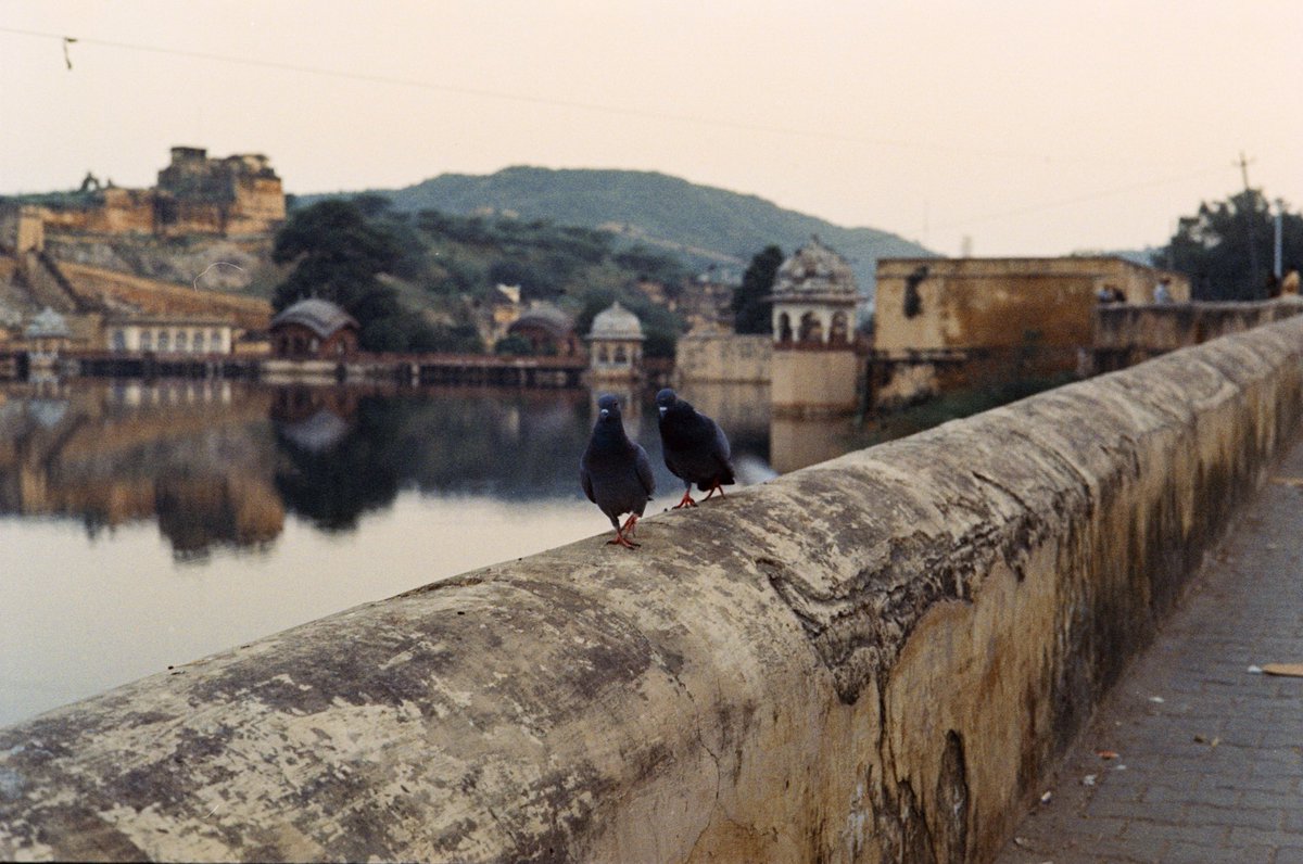 sourdough tweet media