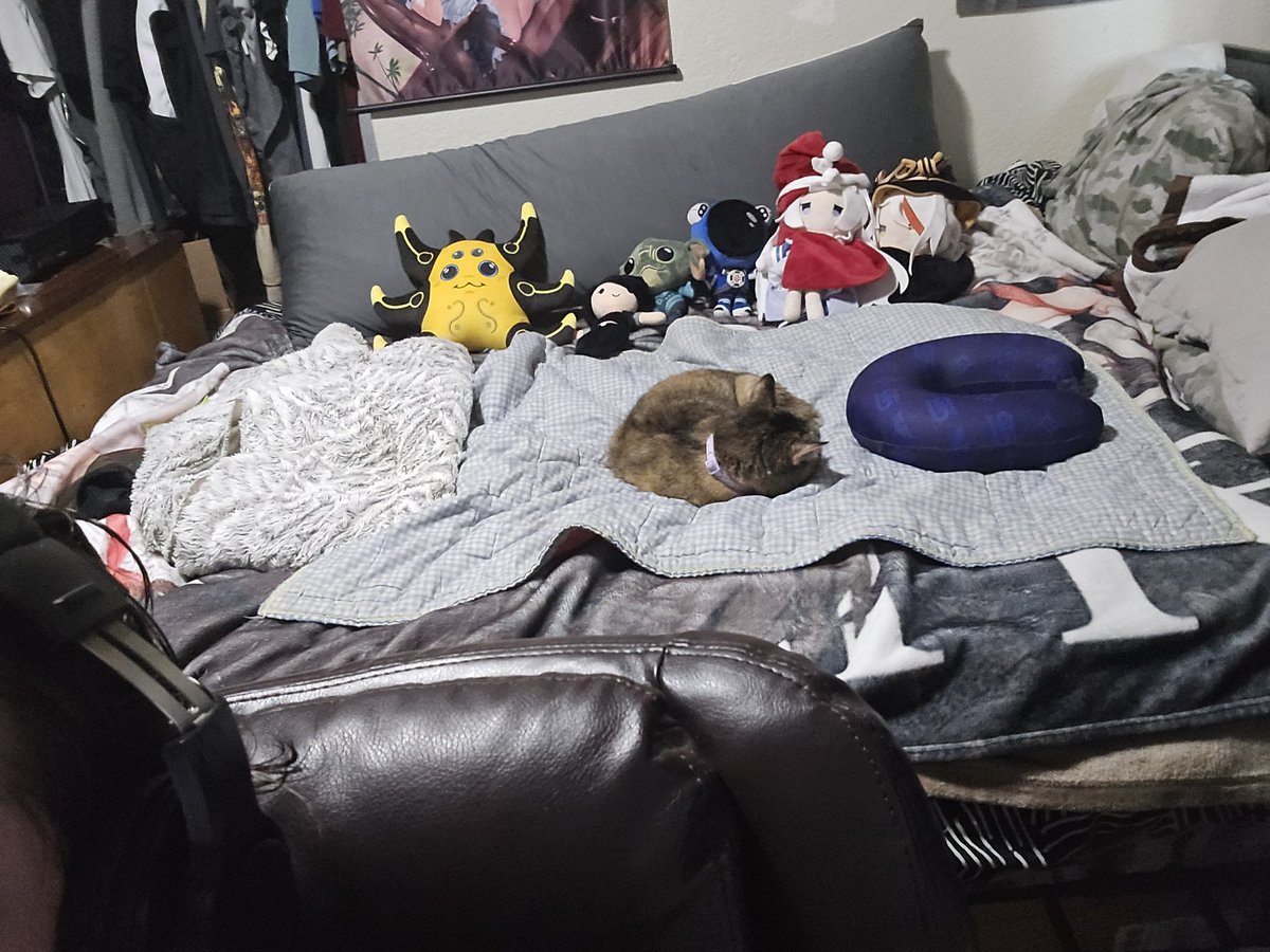 I love seeing my cat laying on my bed while I stream puts a smile on my face when I turn around ☺️
