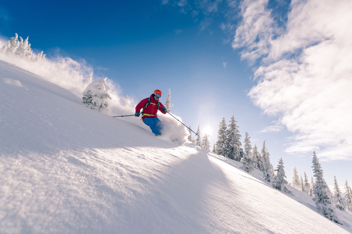 OakHall's tweet image. Oak Hall Winter 2026 – new weeks added!🎿 - mailchi.mp/oakhall/new-fo…