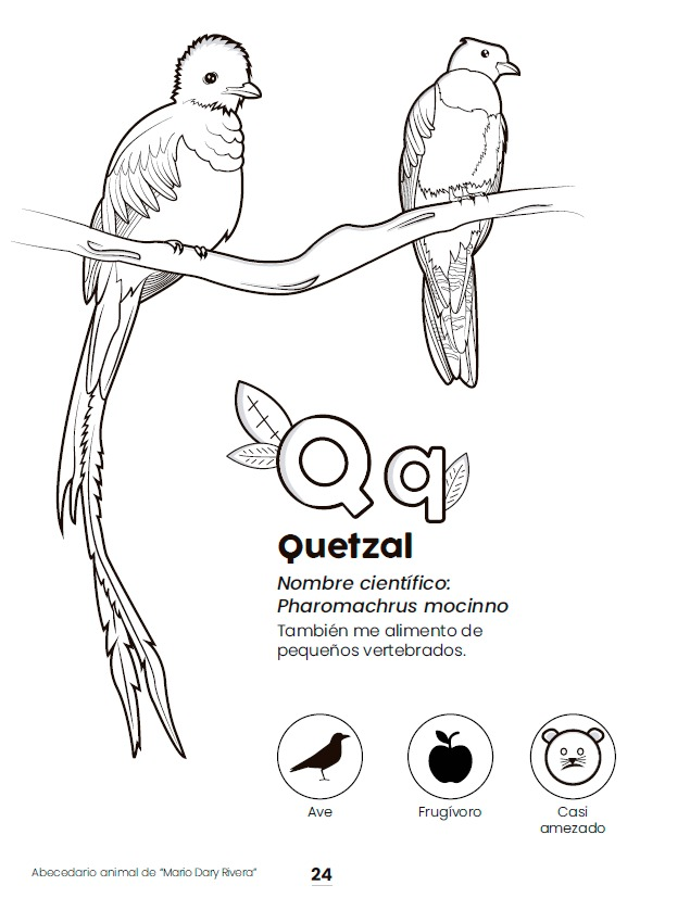 CDC Guatemala tweet media