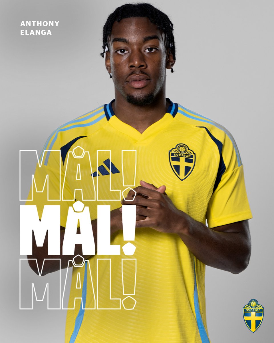 Svensk Fotboll tweet media