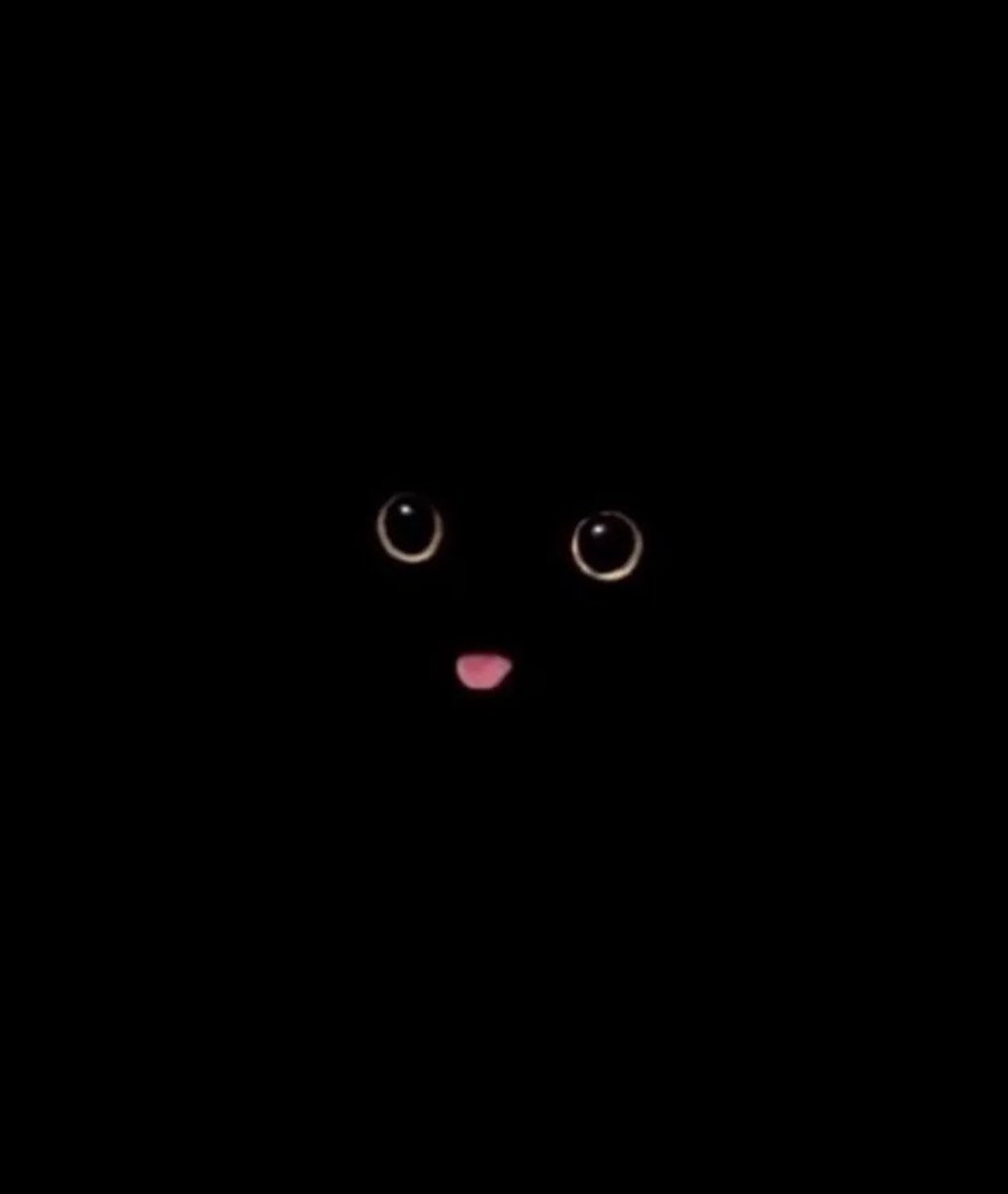blackscats's tweet photo. https://t.co/yAwwPr22ik