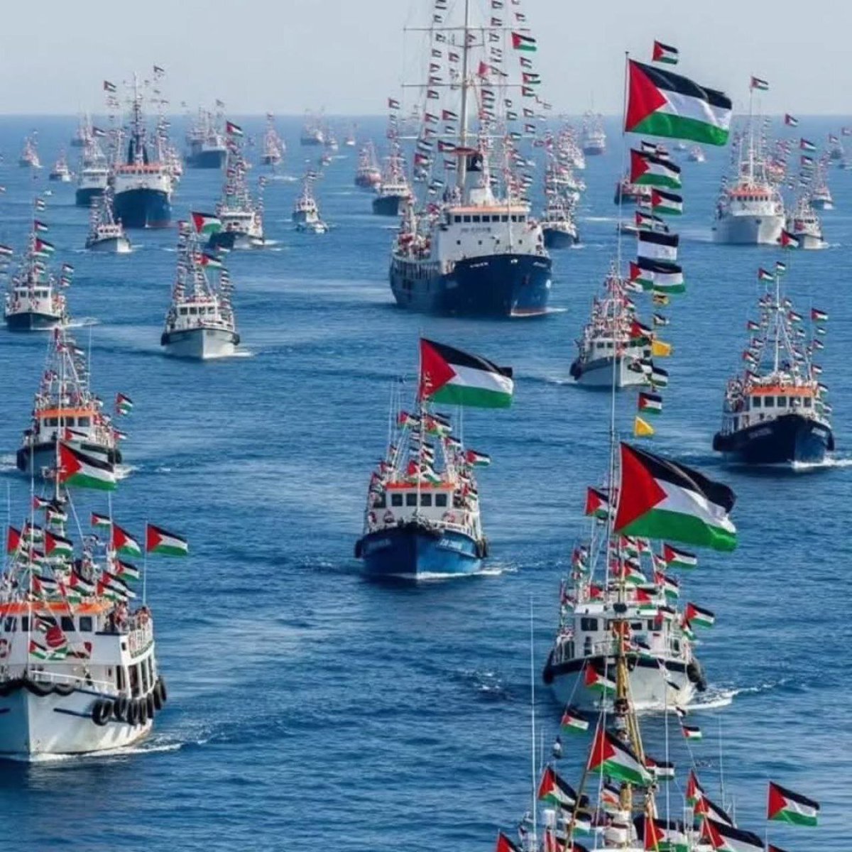 #Gaza'nız mübarek olsun 
Gönüller Gazze'ye doğru