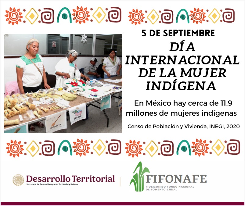 FIFONAFE tweet media