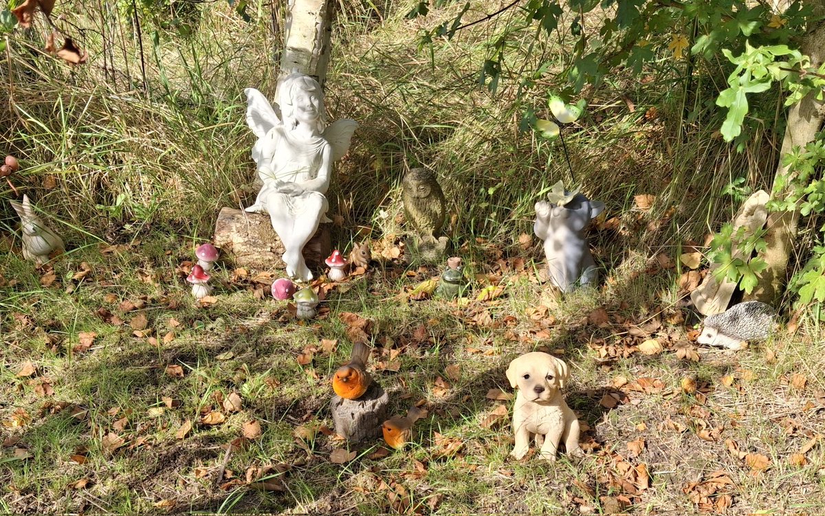 Adrian Long tweet media