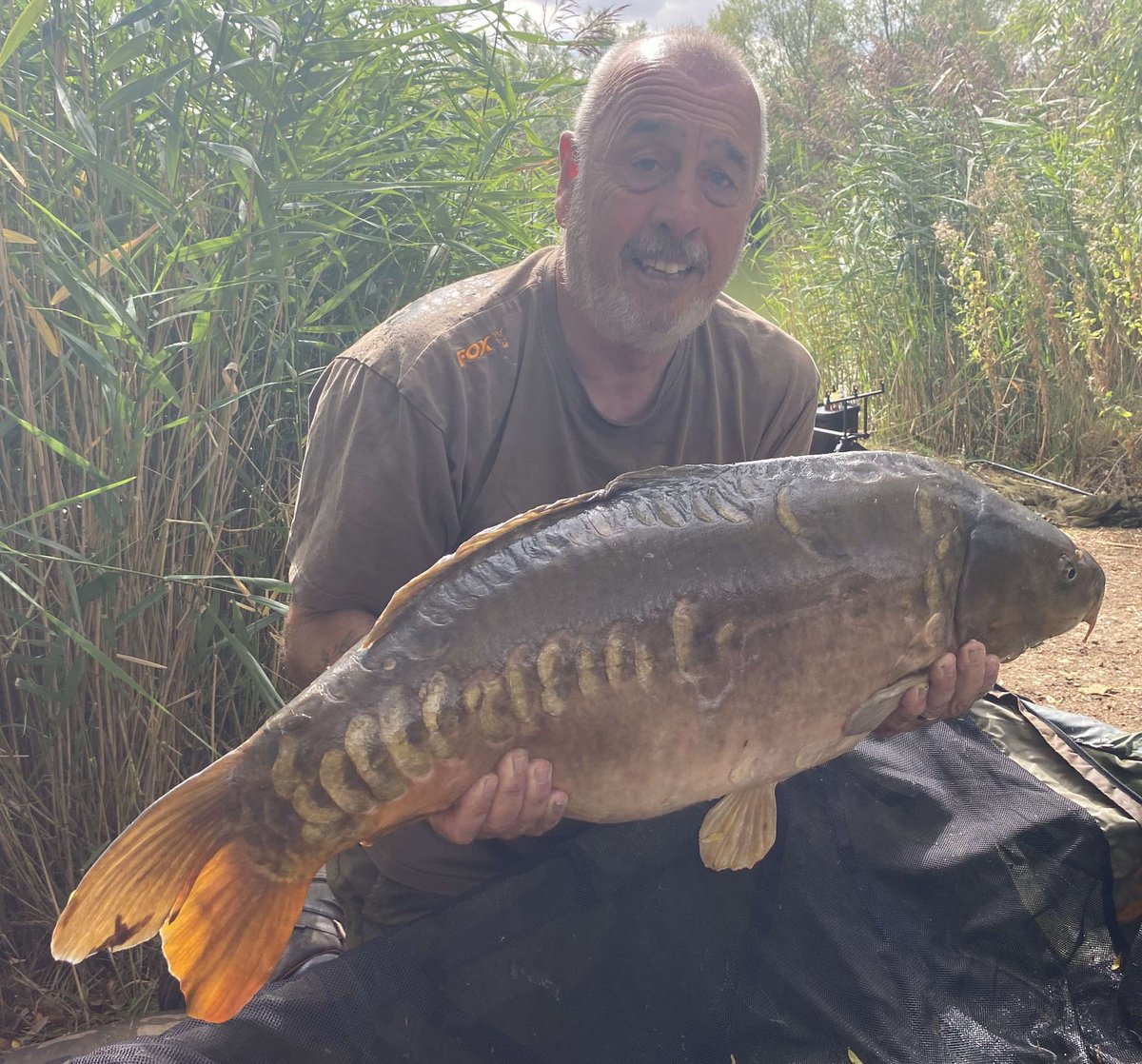 Bayeswater fisheries tweet media