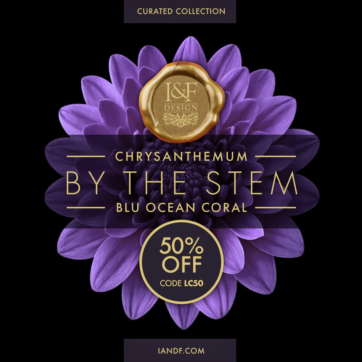IandFDesign's tweet photo. Enjoy 50% off purchases from I&amp;F Design's Curated Collection, available By the Stem.*

View Chrysanthemum 'Blu Ocean Coral':
https://t.co/ioW6kC05GJ

*Use code LC50 at checkout. Shop often, as availability of varieties and quantities will always vary. https://t.co/79QHIdjAEV