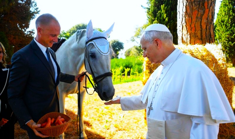 Catholic News World (@catholicnews1) on Twitter photo POPE LEO XIV Feeds a Horse at Borgo Laudato Si!
FOLLOW @Catholicnews1 
IMAGE Vatican Media POPE LEO XIV Feeds a Horse at Borgo Laudato Si!
FOLLOW @Catholicnews1 
IMAGE Vatican Media