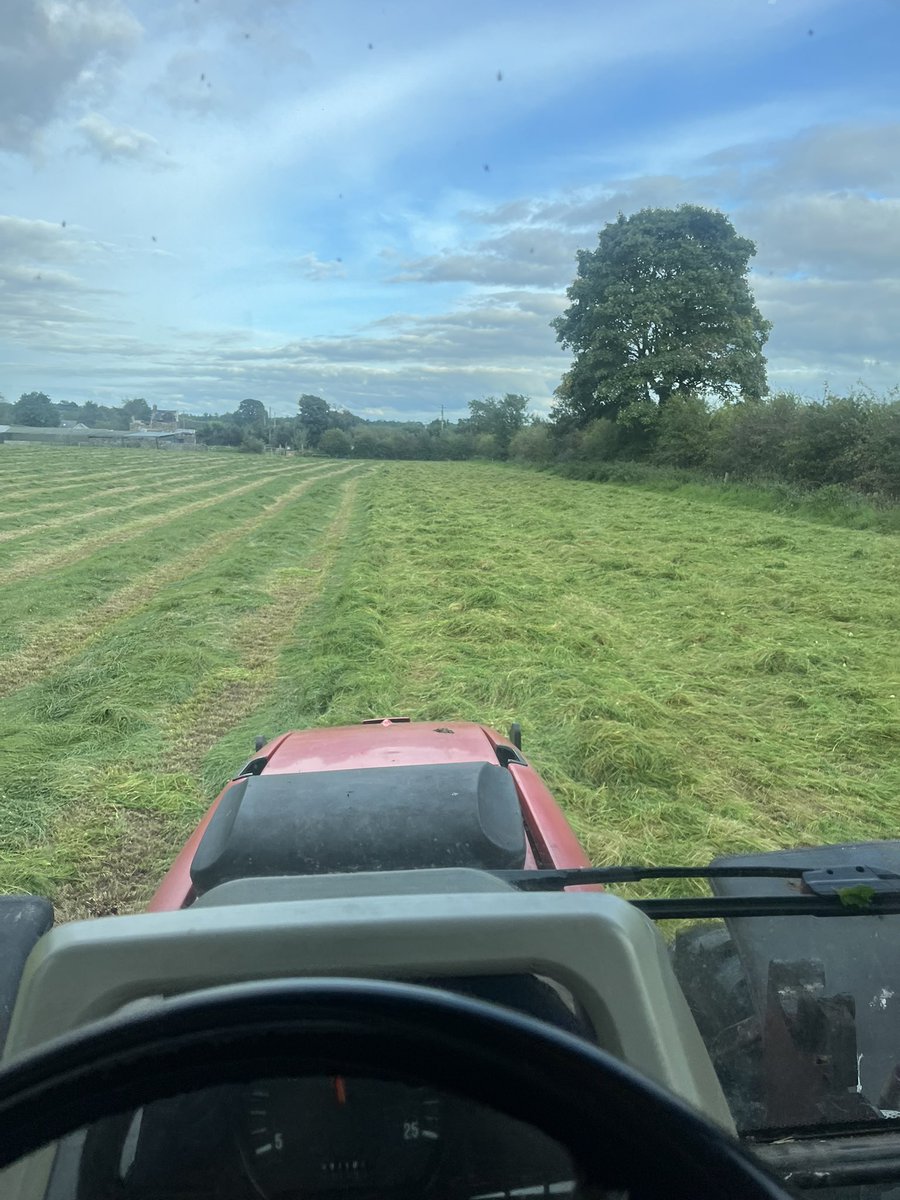 Trying to dry some grass,fantastic evening!