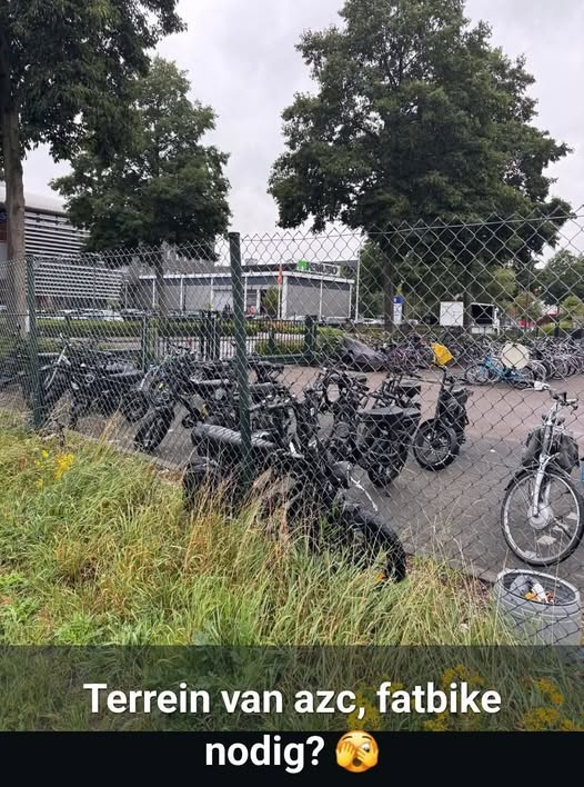 Dolly van den Berg tweet media