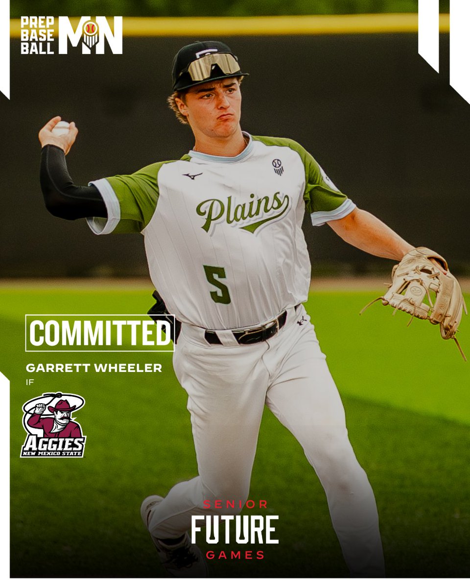 Prep Baseball Minnesota tweet media