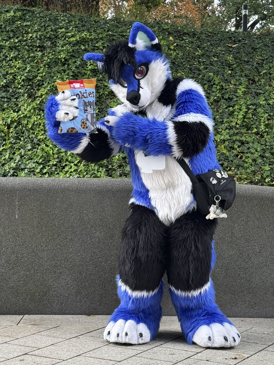 Happy #FursuitFriday! Hopefully have a great time so far. 💙😇

📍Hamburg #EF29
🪡 <a href="/KegawaCreation/">Kegawa Creation</a>