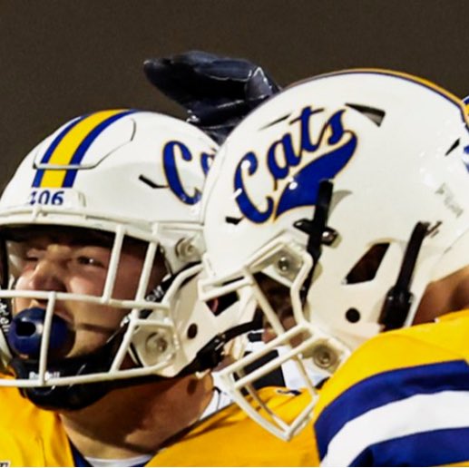 RedditFCS tweet media